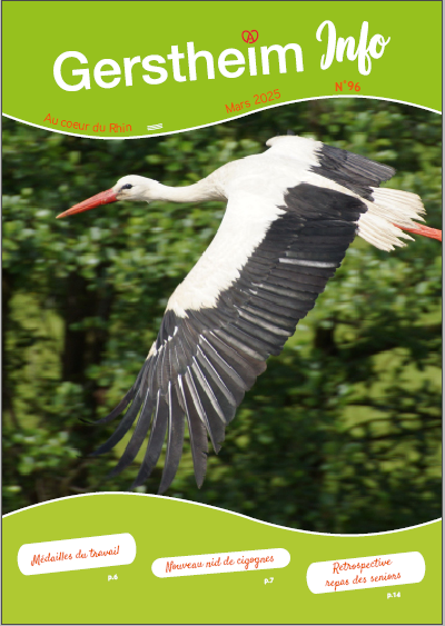 Capture d'écran 2025-03-18 092113