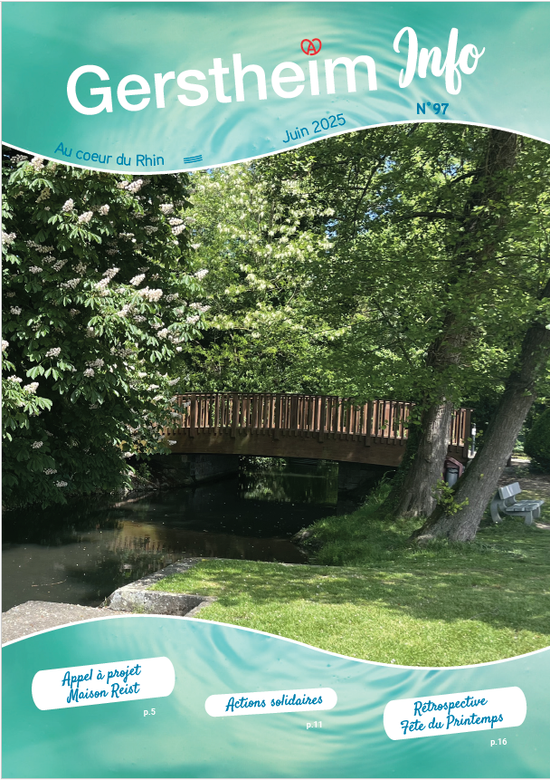 Capture d'écran 2025-07-01 140534